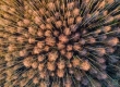 DJI_0055